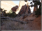 foto Arches Park